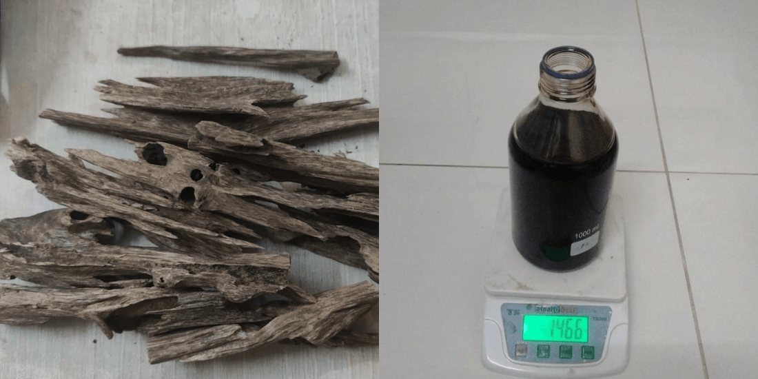 What is Oud? The World's Most Expensive Fragrance Material Explained | Qaffra Perfumes